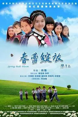 春蕾绽放封面图