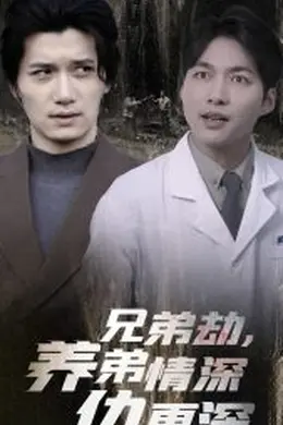 兄弟劫养弟情深仇更深海报图片