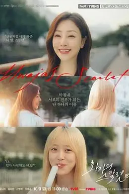 花子的斯嘉丽封面图