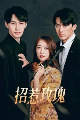 招惹玫瑰封面图