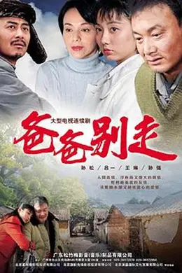 爸爸别走封面图