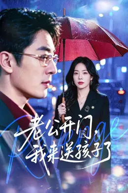 老公开门，我来送孩子了海报图片