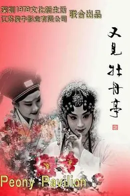 又见牡丹亭封面图