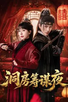 洞房筹谋夜海报图片