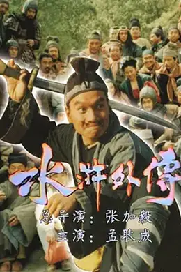 水浒外传（1985）封面图