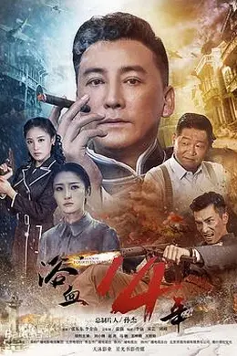浴血十四年封面图