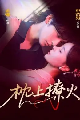 枕上撩火封面图