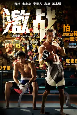 激战国语封面图