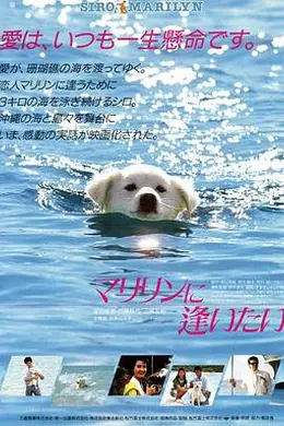 想见玛丽琳封面图