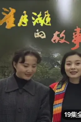 望月湖的故事封面图