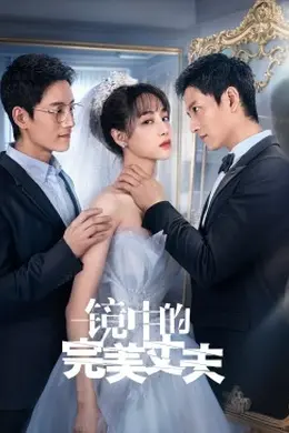 镜中的完美丈夫封面图