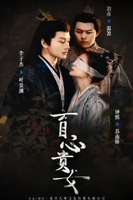 盲心贵女海报图片