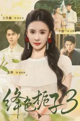 绛色栀子3封面图