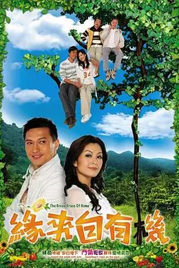 缘来自有机粤语封面图