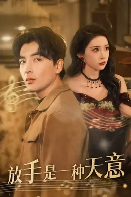 放手是一种天意海报图片
