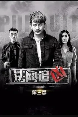 法网追凶第三季封面图