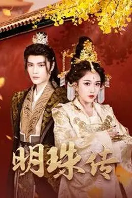 明珠传海报图片