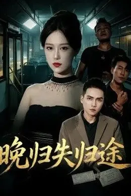 晚归失归途封面图