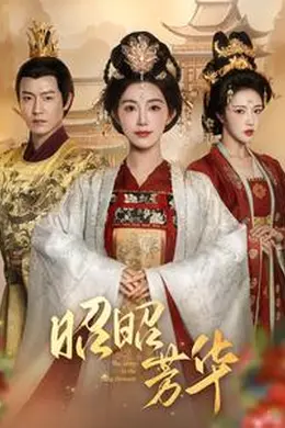 昭昭芳华海报图片