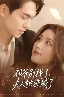 祁爷别找了，夫人她进城了封面图