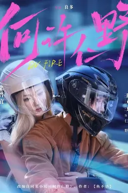 何许仁野海报图片