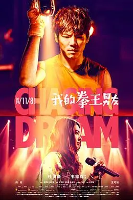 我的拳王男友封面图