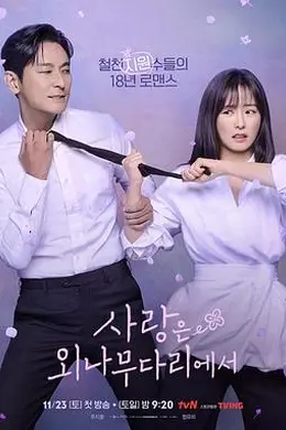 爱在独木桥封面图