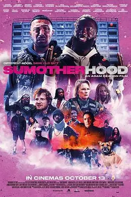 笨贼兄弟闯伦敦封面图