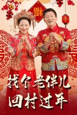 找个老伴儿回村过年海报图片