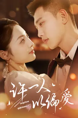 许一人以偏爱海报图片