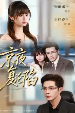 京夜复沦陷封面图