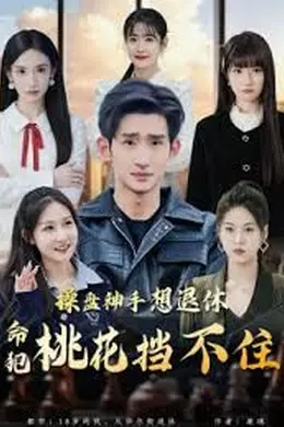操盘神手想退休，命犯桃花挡不住海报图片