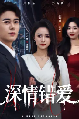 深情错爱封面图