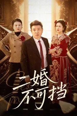 二婚不可挡封面图