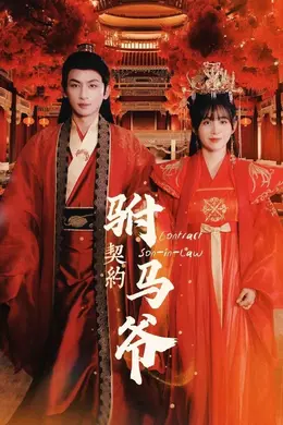 契约驸马爷海报图片