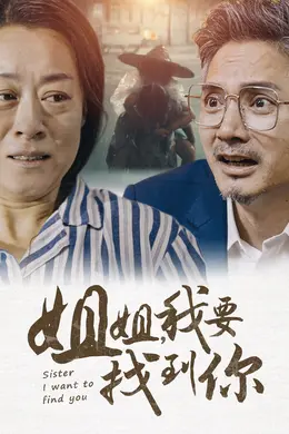 姐姐我要找到你海报图片