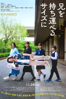 把哥哥带走封面图