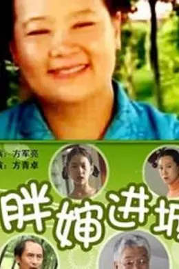 胖婶进城封面图