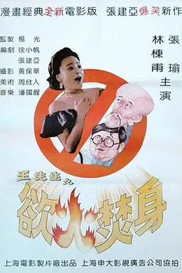 王先生之欲火焚身封面图