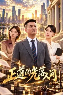 正道的光落人间封面图