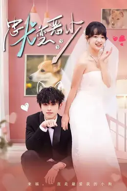 忠犬变恶少（惊！我家来福变恶少了）封面图