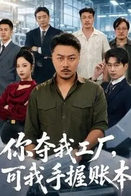 你夺我工厂，可我手握账本封面图