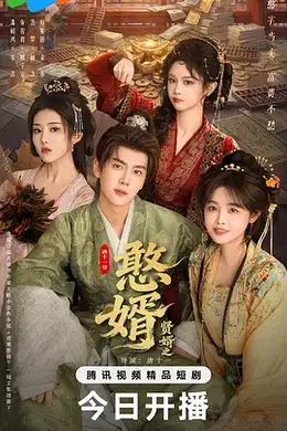 贤婿之憨婿封面图