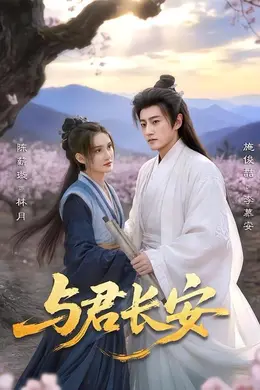 与君长安封面图