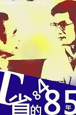 T省的8485年封面图