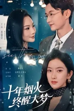 十年烟火，终醒大梦海报图片