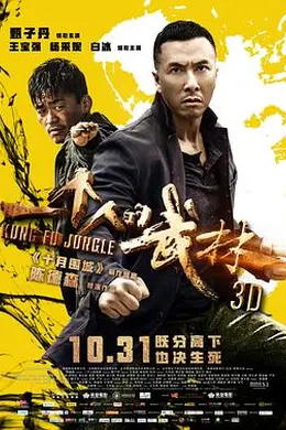 一个人的武林封面图