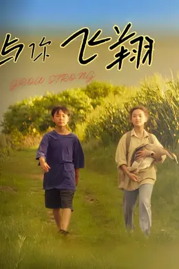 与你飞翔封面图