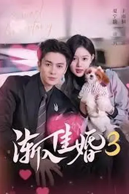 渐入佳婚3第三部封面图