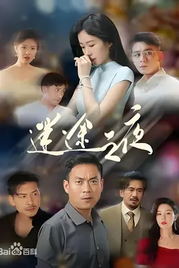 迷途之夜封面图